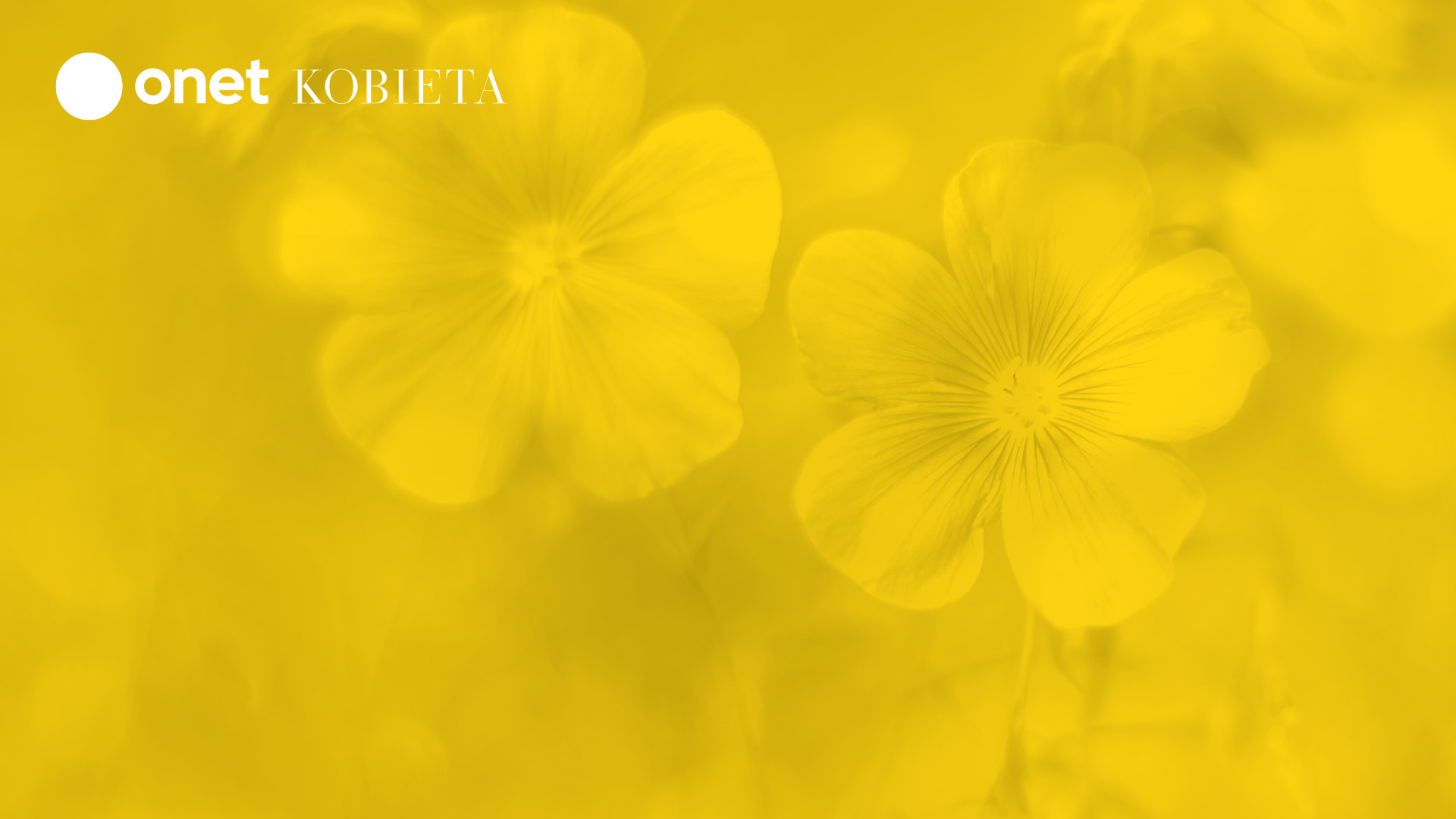 Archiwum 6 Pa dziernika 2025 Kobieta Archiwum 6 Pa dziernika 2025 Kobieta