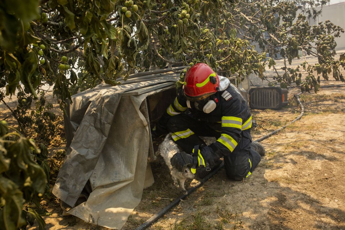 Imagini video emoționante cu pompierii români ovaționați în Grecia: „Luptă de parcă incendiile ar pune în pericol casele lor”