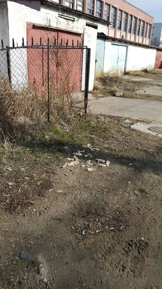Un primar îi ceartă pe localnici pe Facebook. Sunt vizați „țăranii” sau „nesimțiții” care nu respectă curățenia