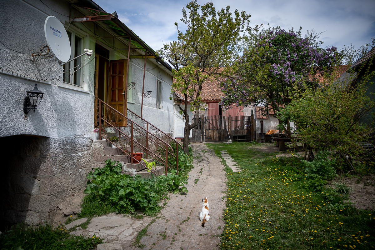 Lovită de o boală rară, o violonistă de 36 de ani din Covasna a uitat aproape totul, mai puțin muzica. “A uitat să plângă. Când o doare ceva, i se umplu ochii de lacrimi, dar râde”