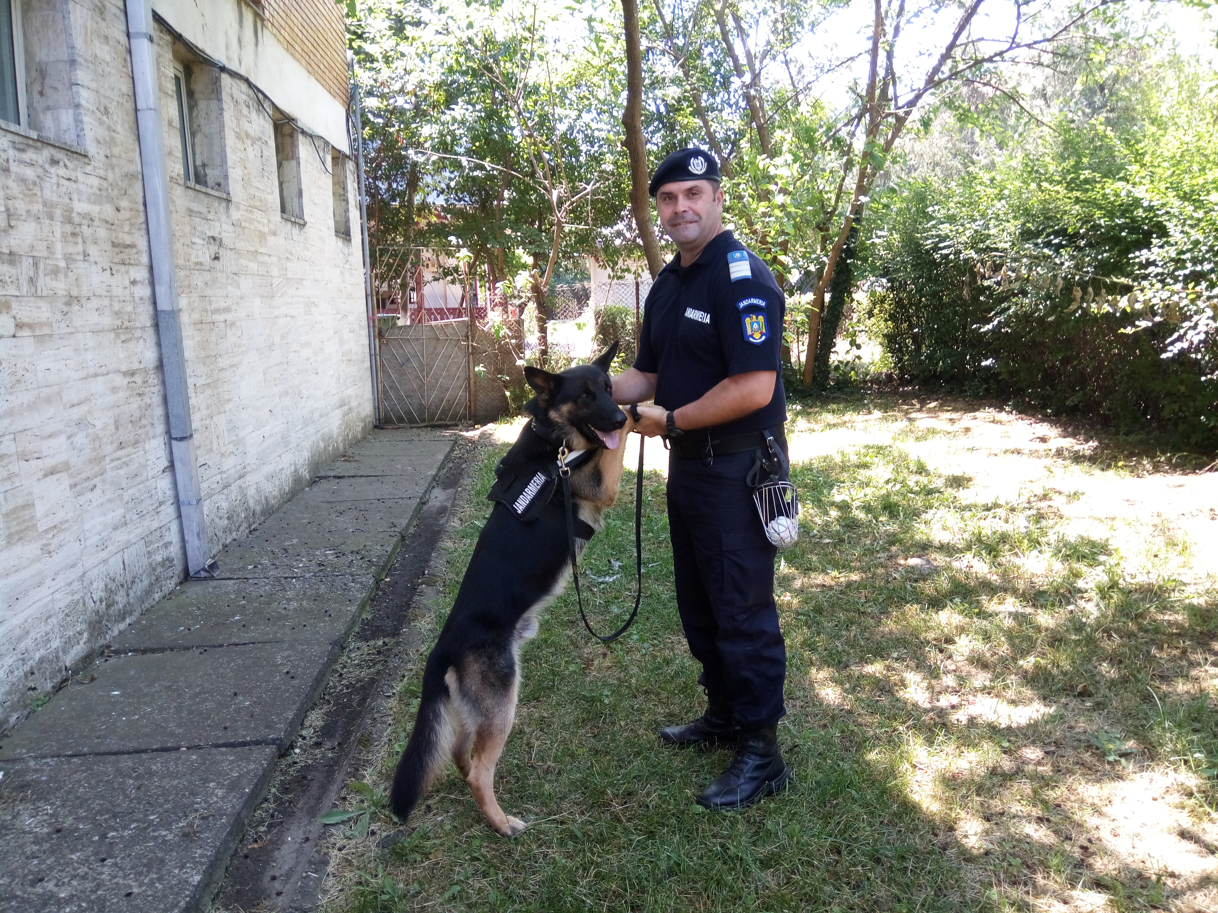 REPORTAJ/ Jandarmul Marius și câinele Mabanu, o prietenie mai presus de meserie. Deși a fost pensionat, ciobănescul german rămane cu plutonierul major/ (Foto&Video)