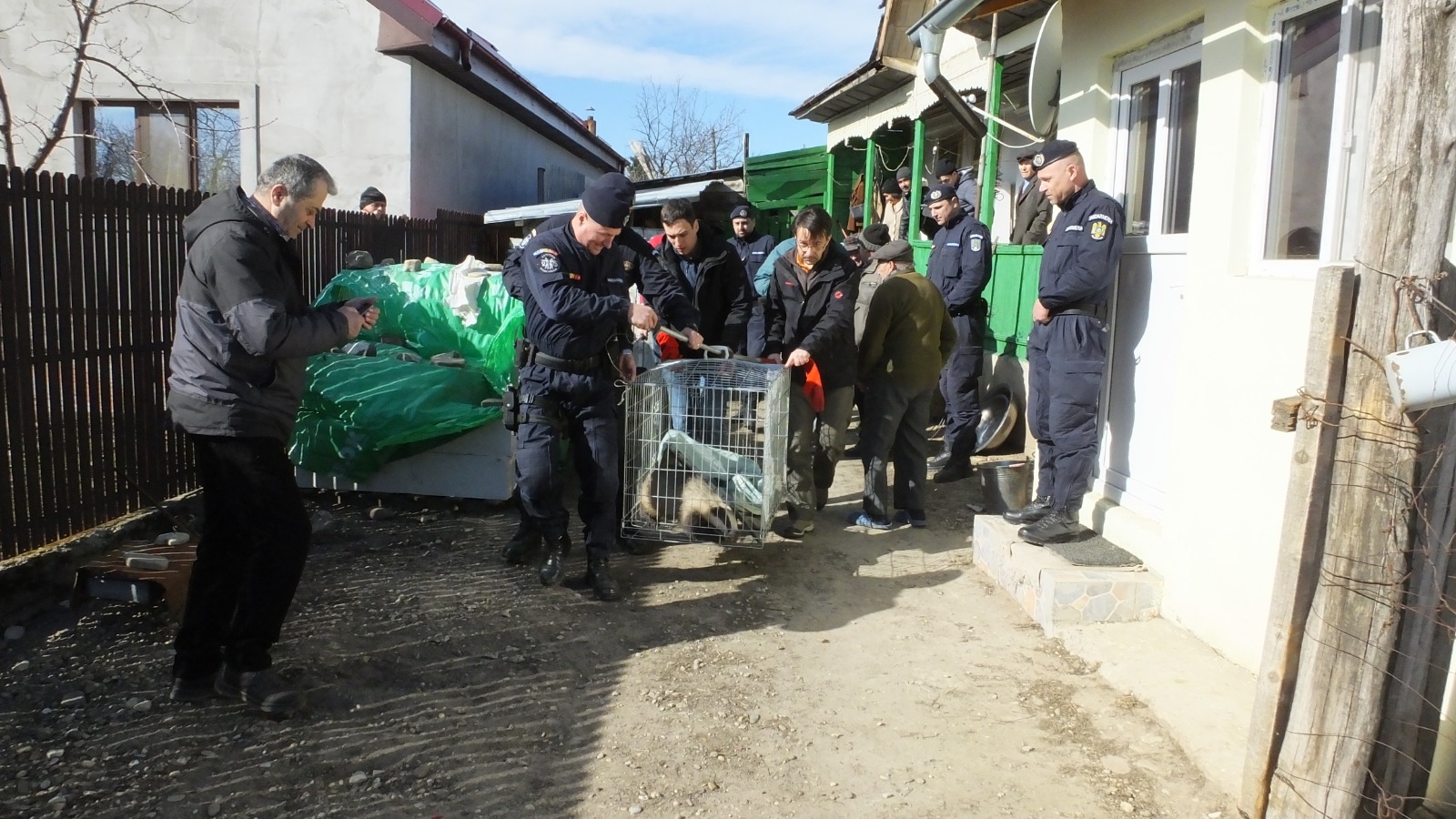 Caz real: Apel la 112 pentru salvarea unui bursuc prins sub un butoi de vin