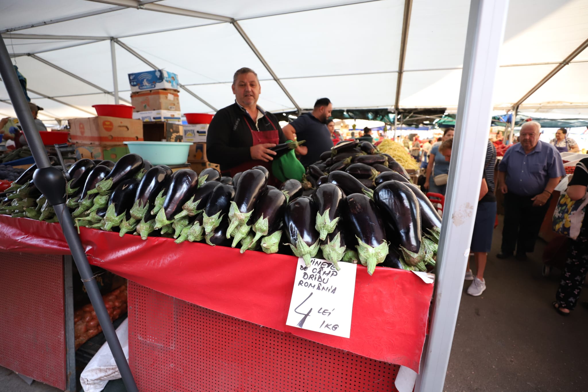 Cât costă să cumperi ingrediente pentru 10 borcane de zacuscă: calculul pentru rețeta tradițională cu vinete, ardei kapia, gogoșari și ceapă