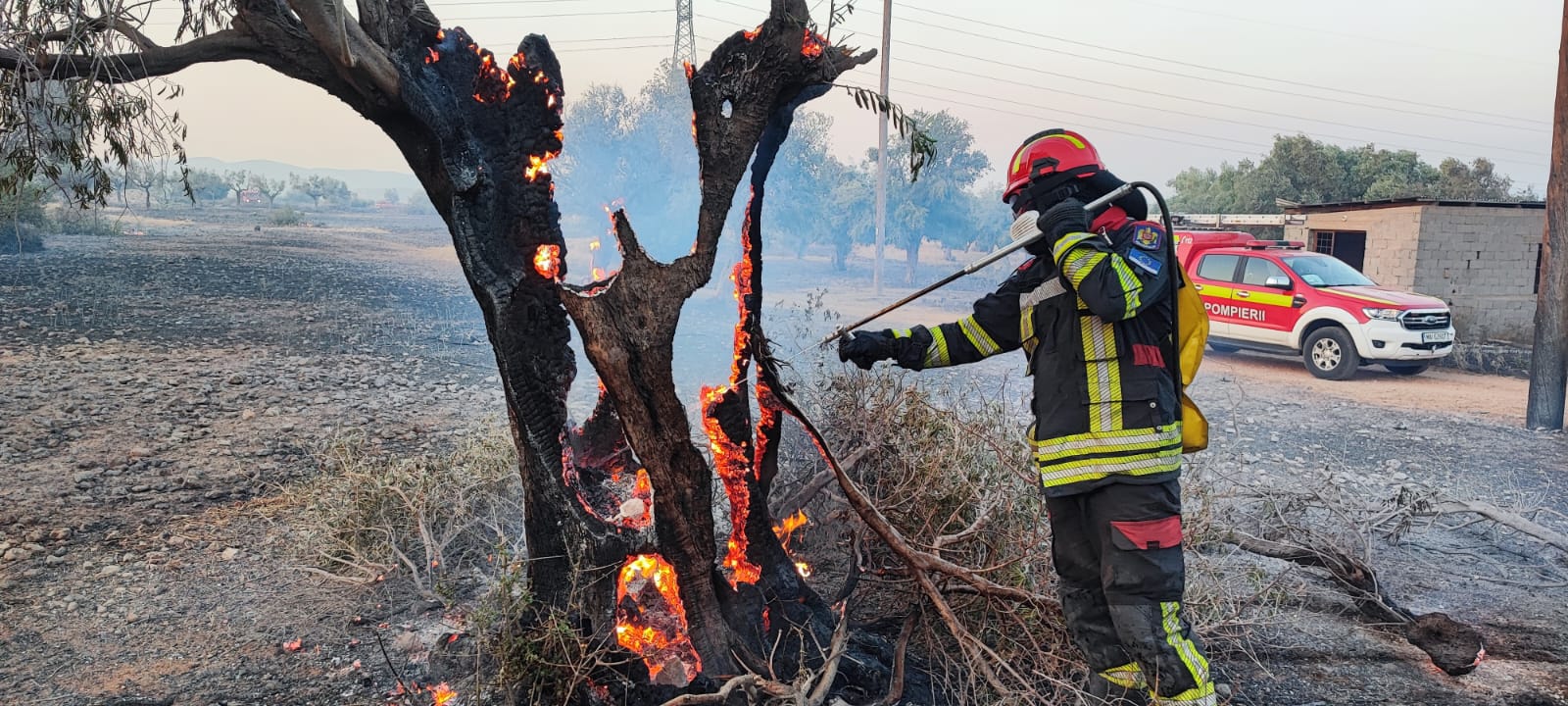 Un nou incendiu violent într-o regiune populară din Grecia. Intervin zeci de pompieri români și cehi