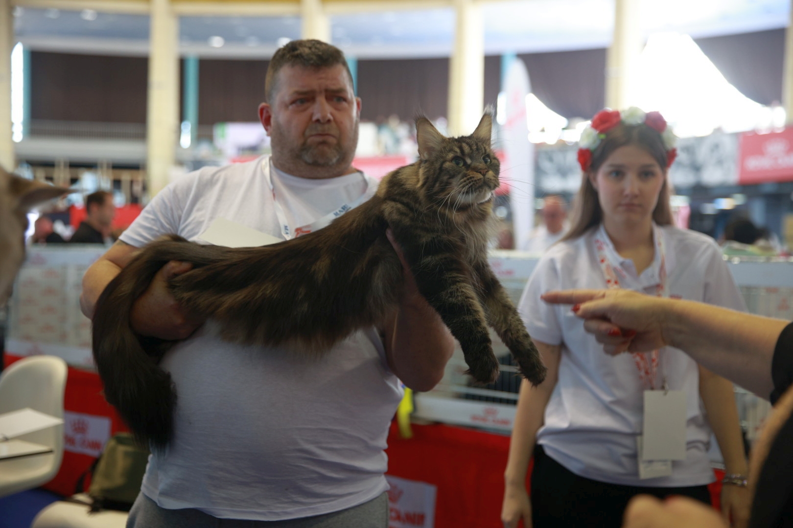 Libertatea a mers la Campionatul Mondial Felin. Bucureștiul, capitala mondială a pisicilor: peste 750 de feline din întreaga lume au strălucit la Romexpo