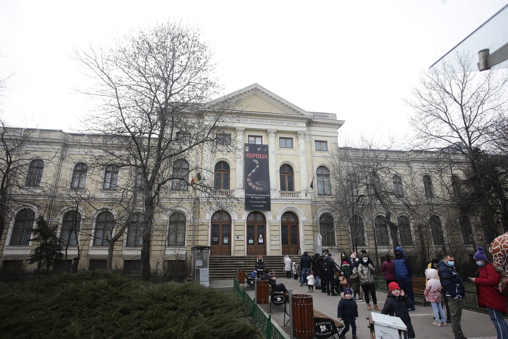 Aproape 100 de persoane, la coadă la Muzeul Antipa