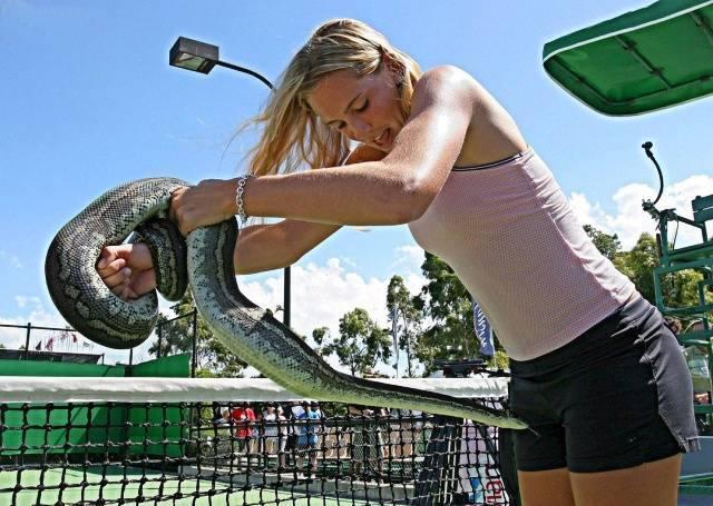 Iată cu ce jucătoare sexy se va duela Halep la Miami / GALERIE FOTO HOT