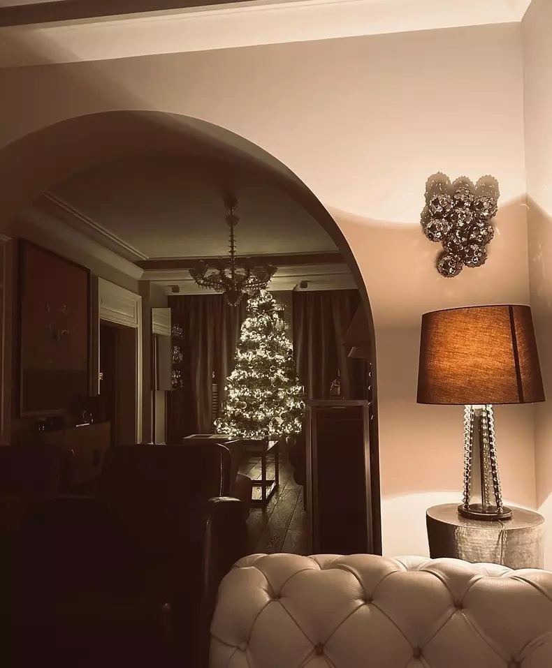 Imagini din sufrageria Danei Budeanu. Cum a decorat bradul de Crăciun din casa ei