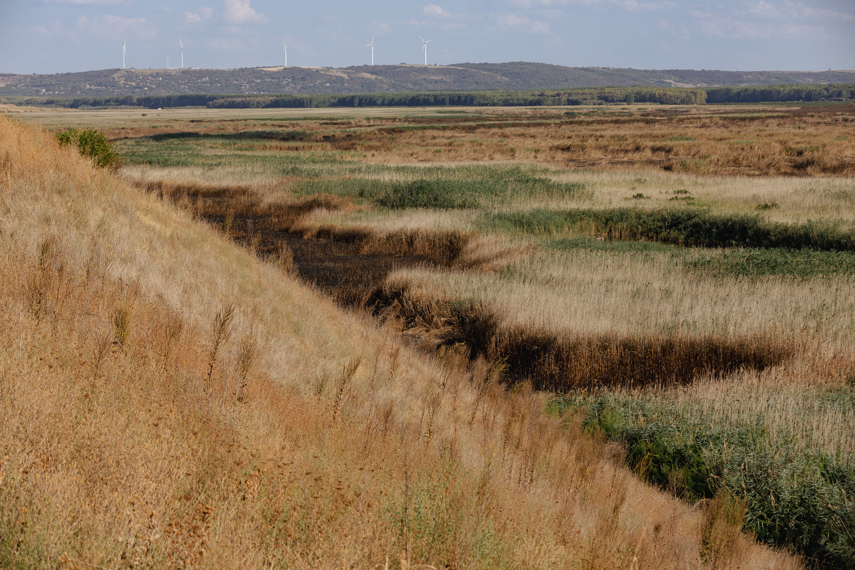 REPORTAJ. Cum arată de la fața locului dezastrul de la Islaz, unde au ars aproape 700 de hectare din „Delta Teleormanului"