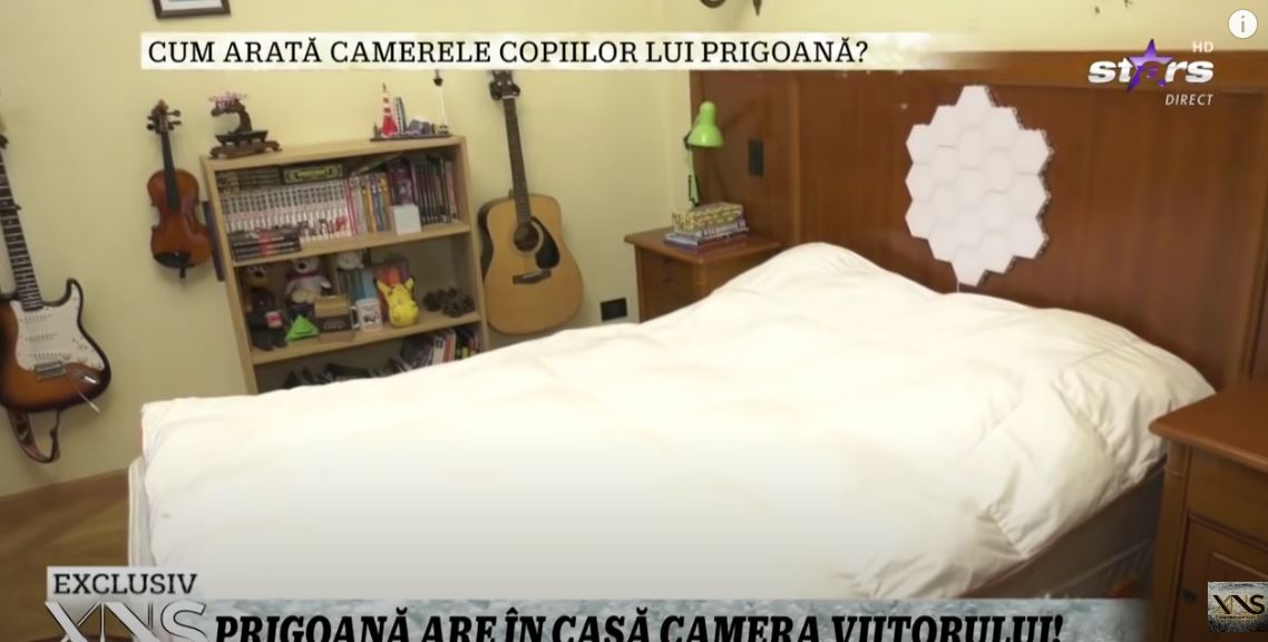Imagini din casa lui Silviu Prigoană. Rar vezi așa ceva în România