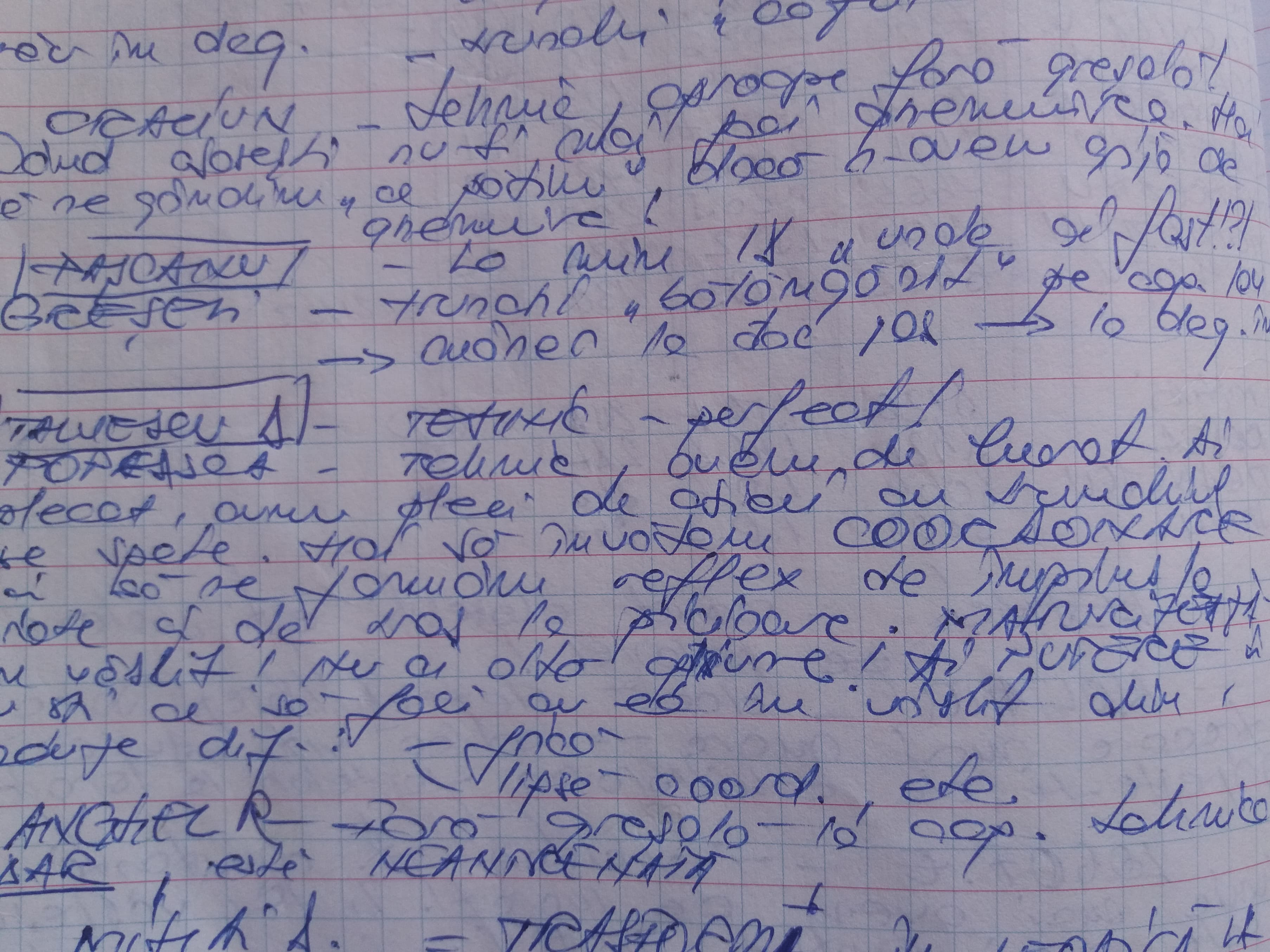 Am aflat dieta de la canotaj. ”Mâncăm mai puțin”! Caietele senzaționale ale antrenoarei Mariana Maliș conțin secretele campioanelor. Povești fabuloase dezvăluite în premieră / GALERIE FOTO