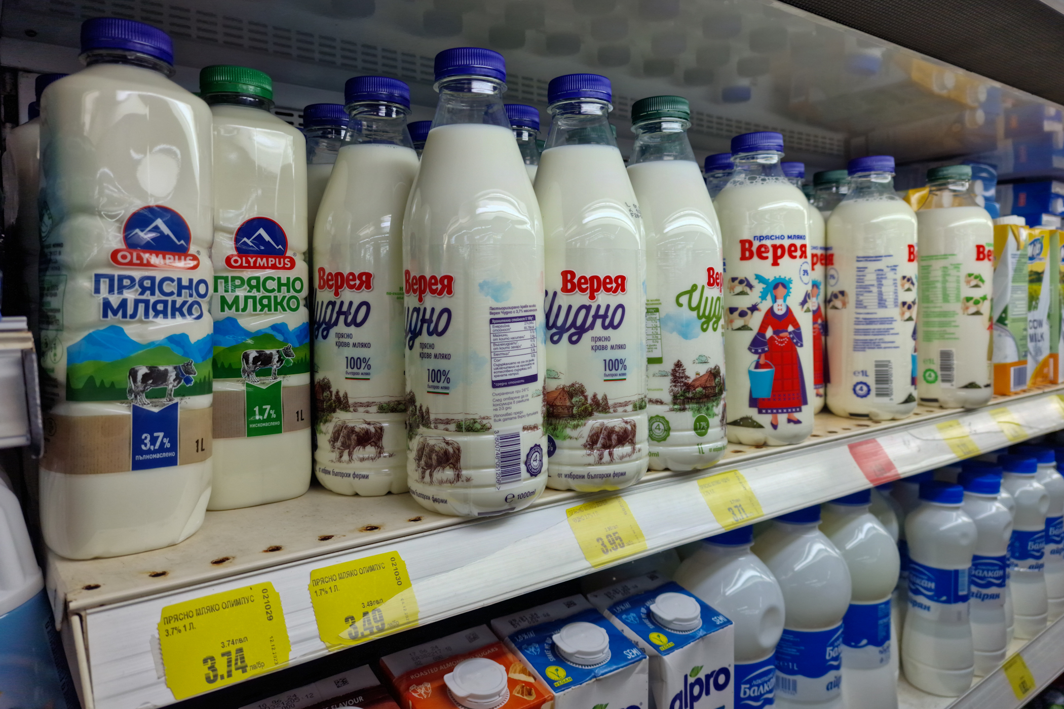 PODUL PRIETENIEI ALIMENTARE înainte de Crăciun și Revelion. Am comparat prețurile din Bulgaria cu cele din România. Mai e o afacere să mergi la vecini pentru cumpărături?