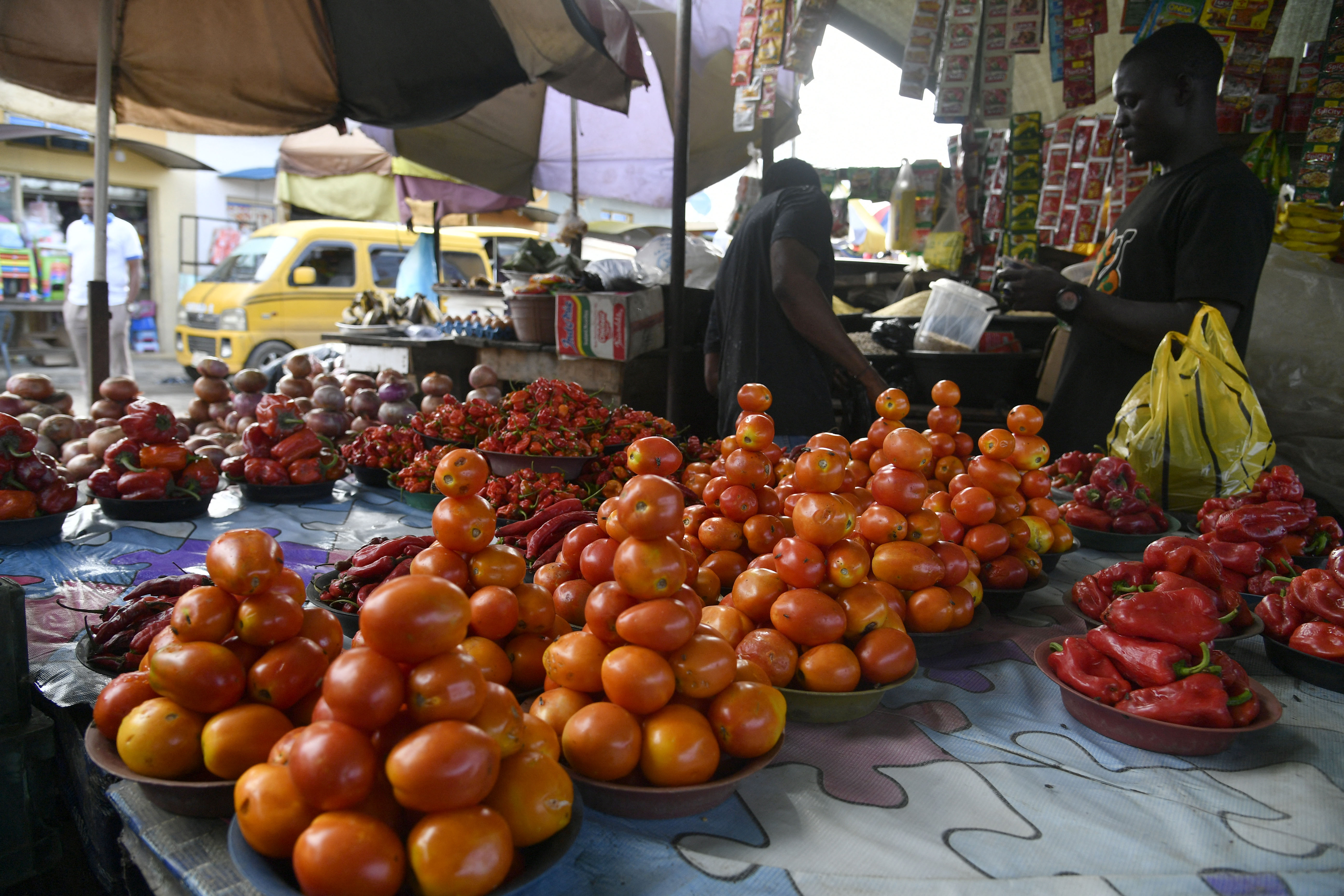 A tomatoe vendor stand beside his stock at a roadside market at Kara Isheri, Ogun State in southwest Nigeria, on June 1, 2023. [Photo by PIUS UTOMI EKPEI/AFP via Getty Images]