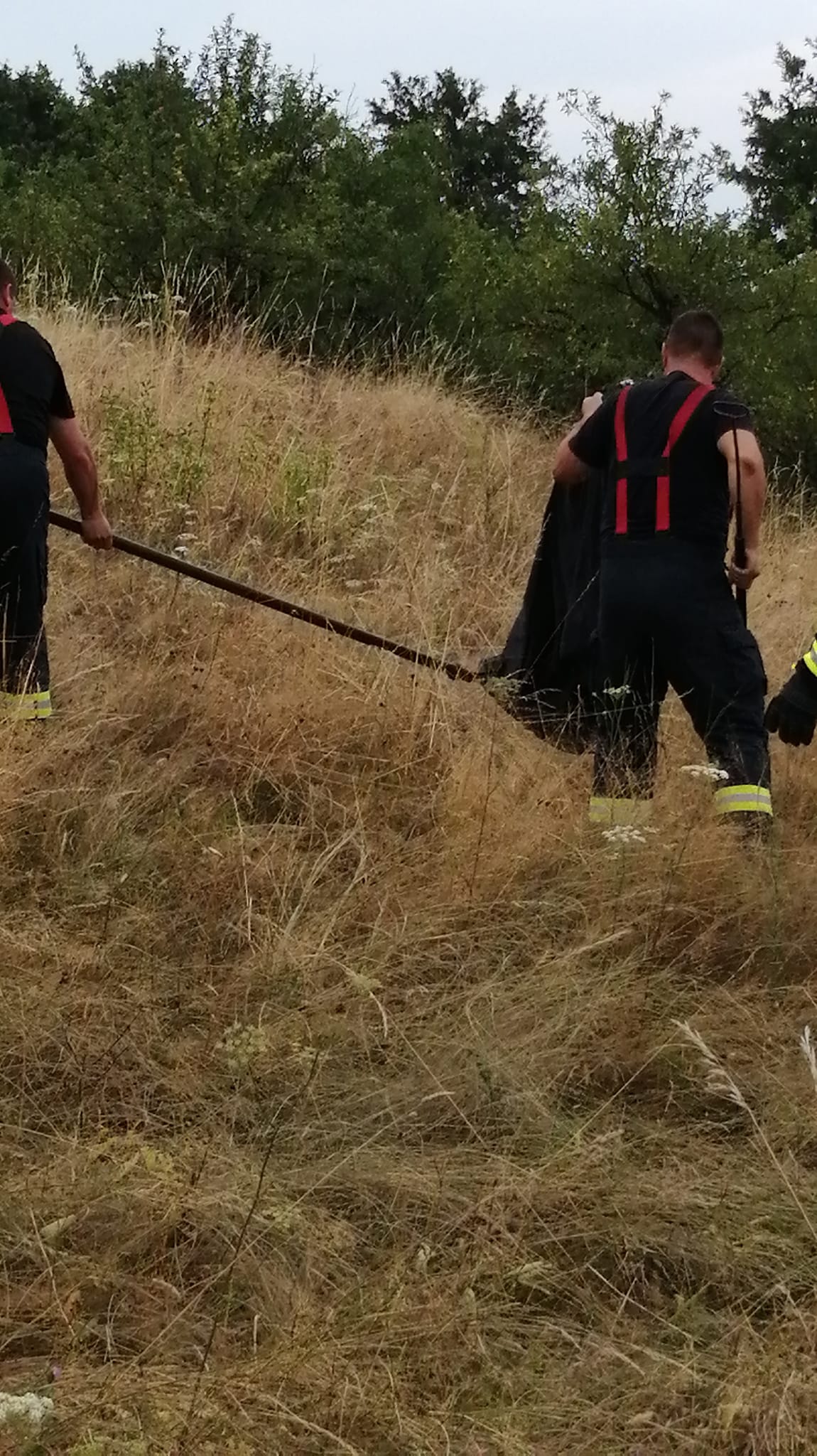 Misiune de salvare a unei vulpi care a căzut într-o fântână, în Orăştie. Şase pompieri s-au mobilizat