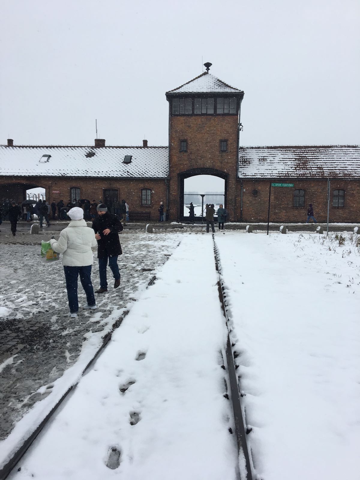 EXCLUSIV / De Ziua Națională a României, în lagărele de la Auschwitz. Peste 100 de români au marcat într-un mod inedit minivacanța de 1 Decembrie