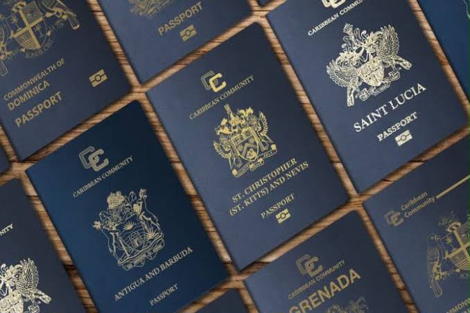 These programmes have become popular among wealthy Africans frustrated by high Schengen visa rejection rates, offering a backdoor to Europe.