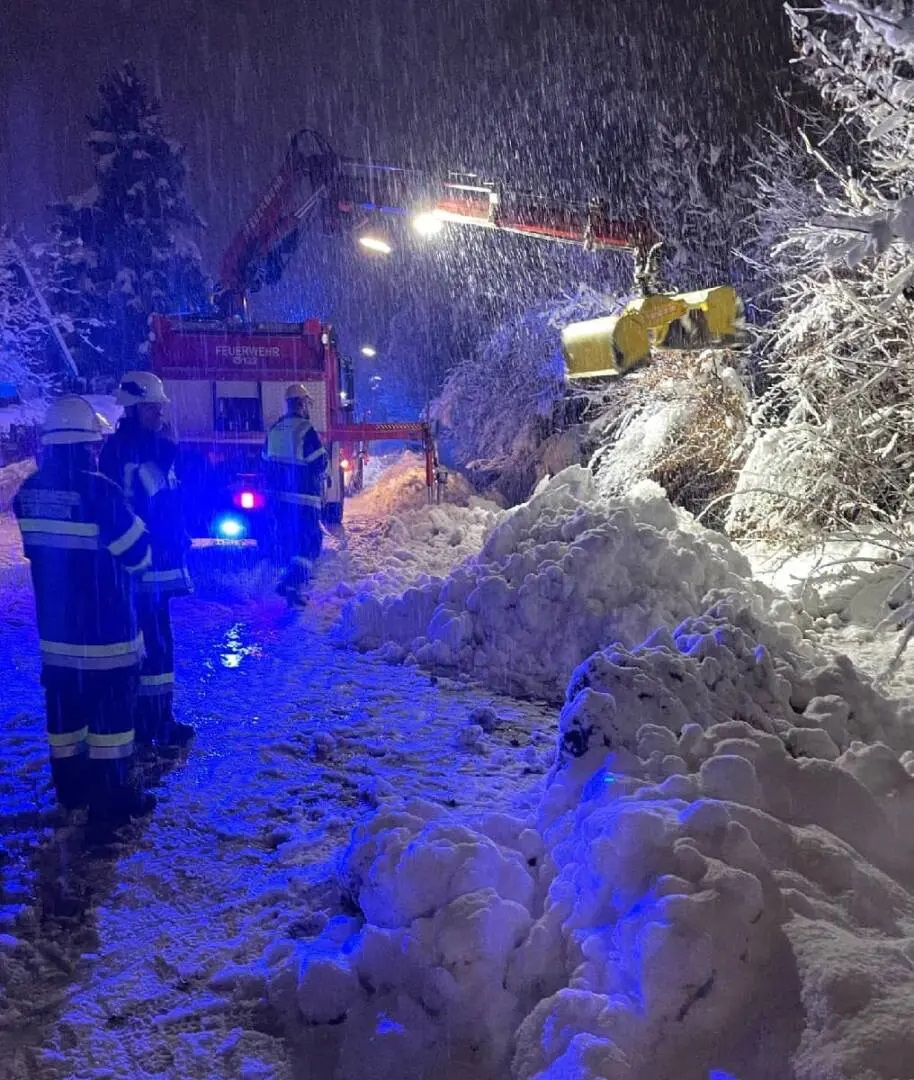 Sudul Austriei, îngropat sub „cantități enorme de zăpadă”. 9.000 de case n-au curent, drumuri și școli au fost închise