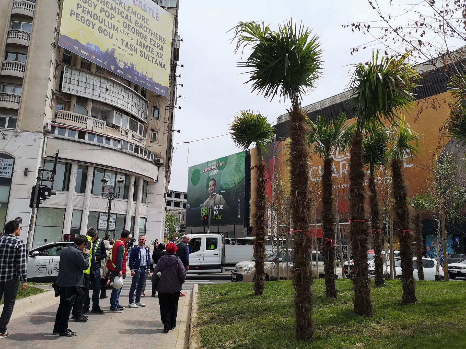 Nicușor Dan a scos palmierii puși de Negoiță la Piața Unirii, în urmă cu două zile. „Nu este vreo țară exotică”. Cei doi primari se atacă reciproc