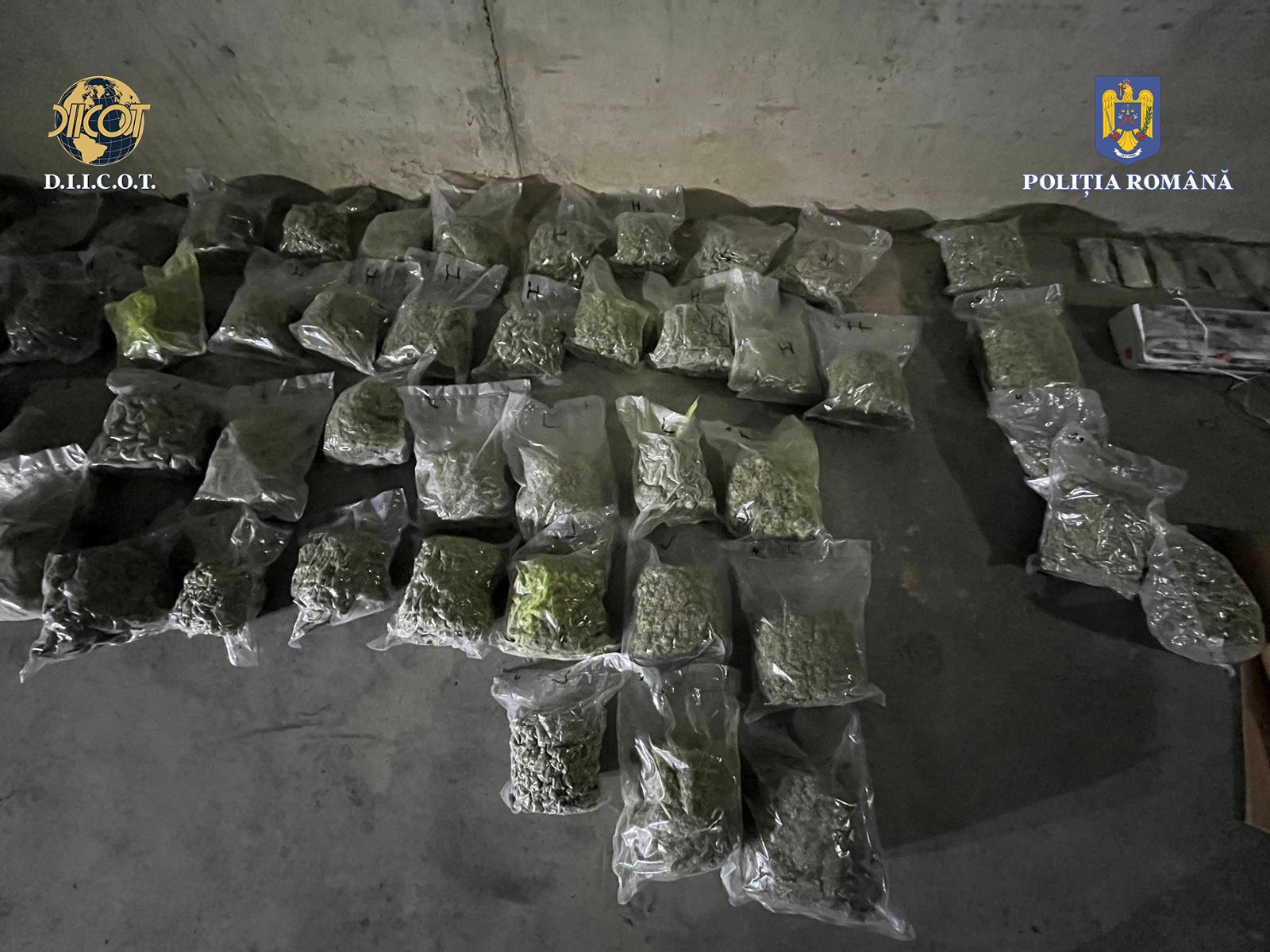 Peste 45 de kilograme de droguri, găsite în Cluj. Trei persoane au fost arestate