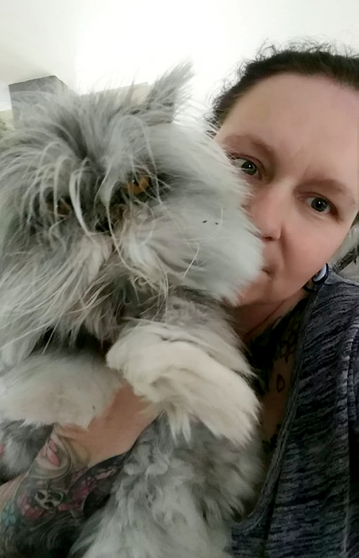 Pisică sau cățel? Ce crezi că este animalul din imagine | FOTO