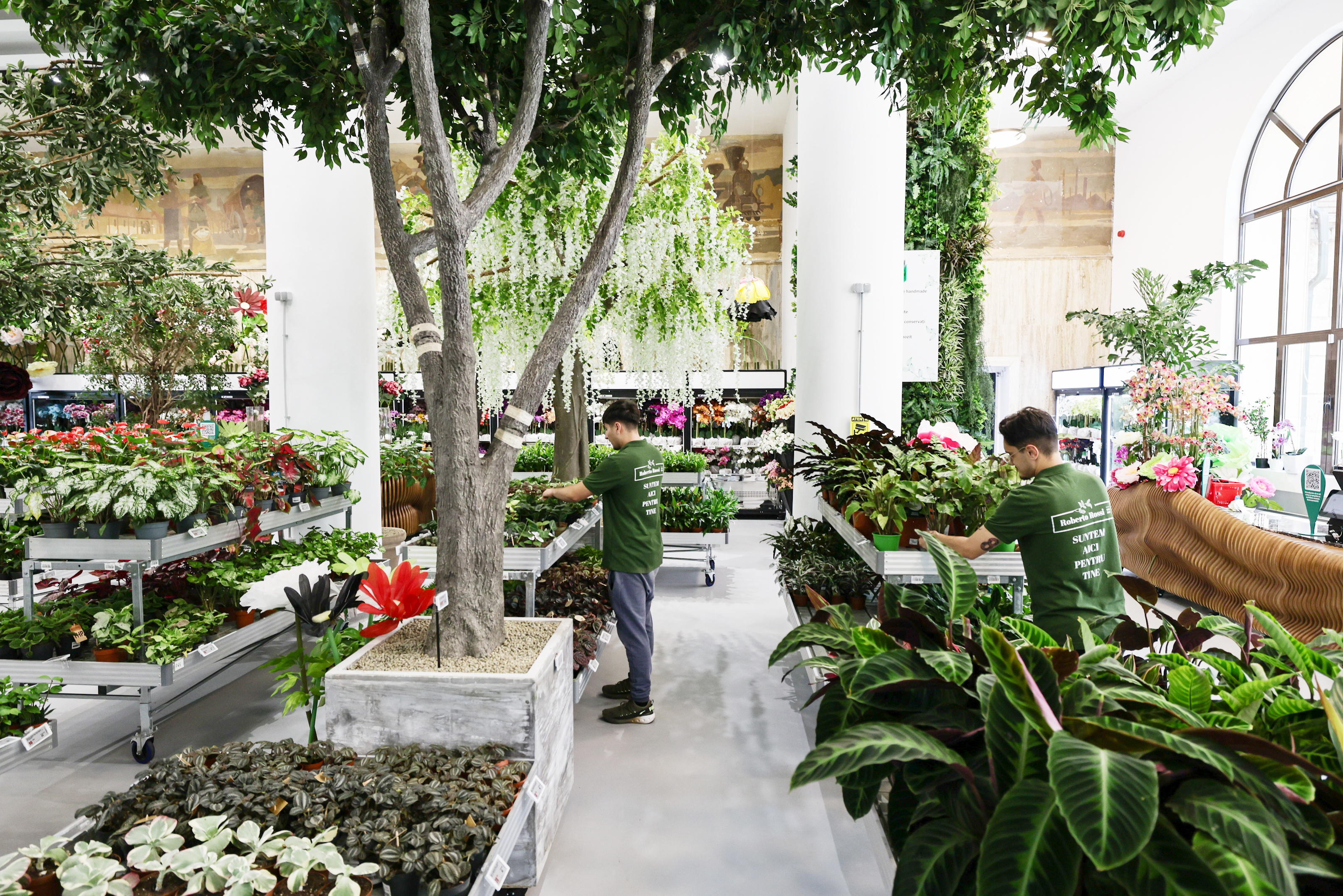 Mall-ul de plante din București are cinci niveluri cu peste 1.200 de soiuri, ghivece inteligente și un mesteacăn artificial care costă cât un apartament