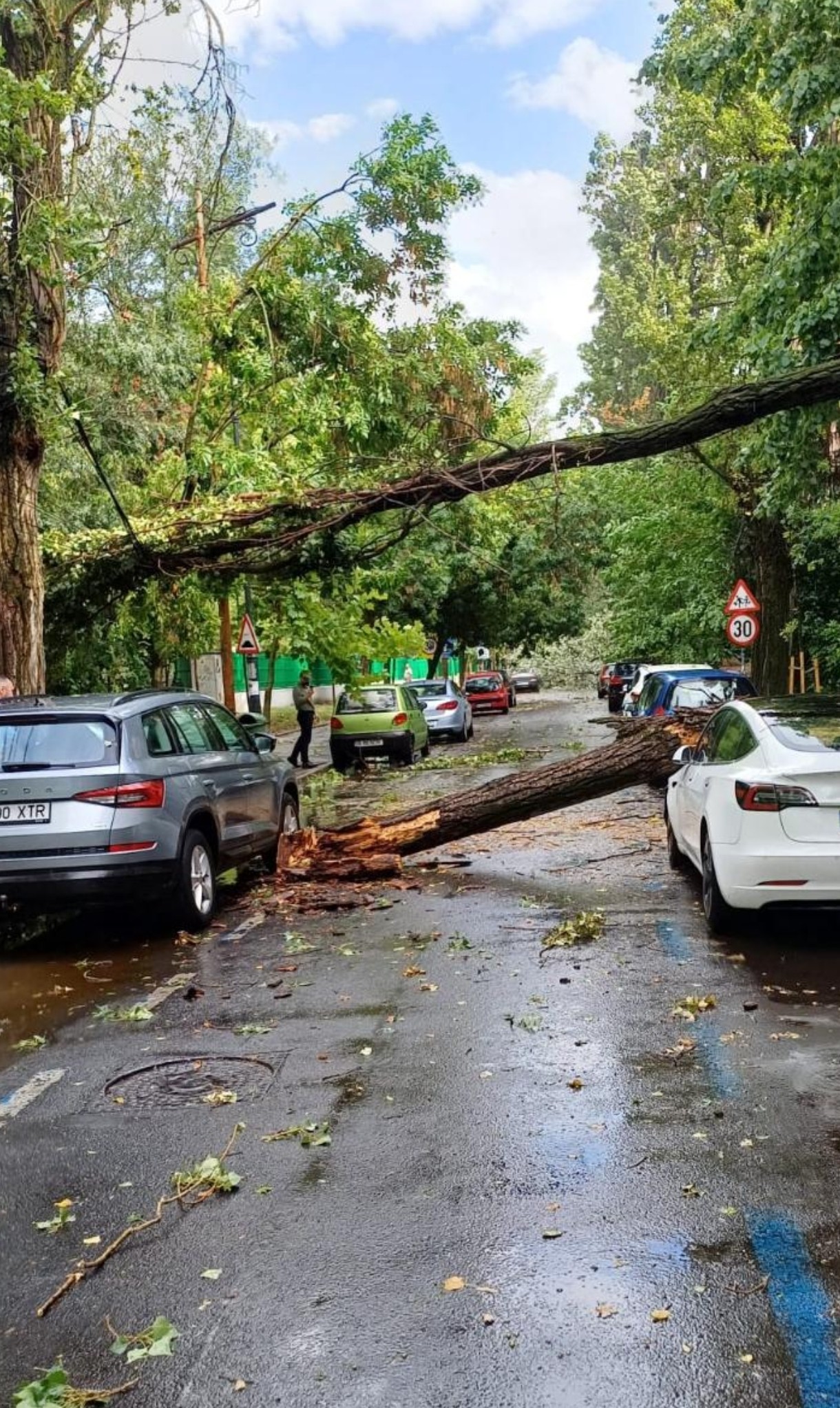 Urmările vijeliei care a făcut prăpăd în București și pe autostrada A1: o femeie a murit în Otopeni, mașini distruse de copaci, trafic îngreunat pe A1