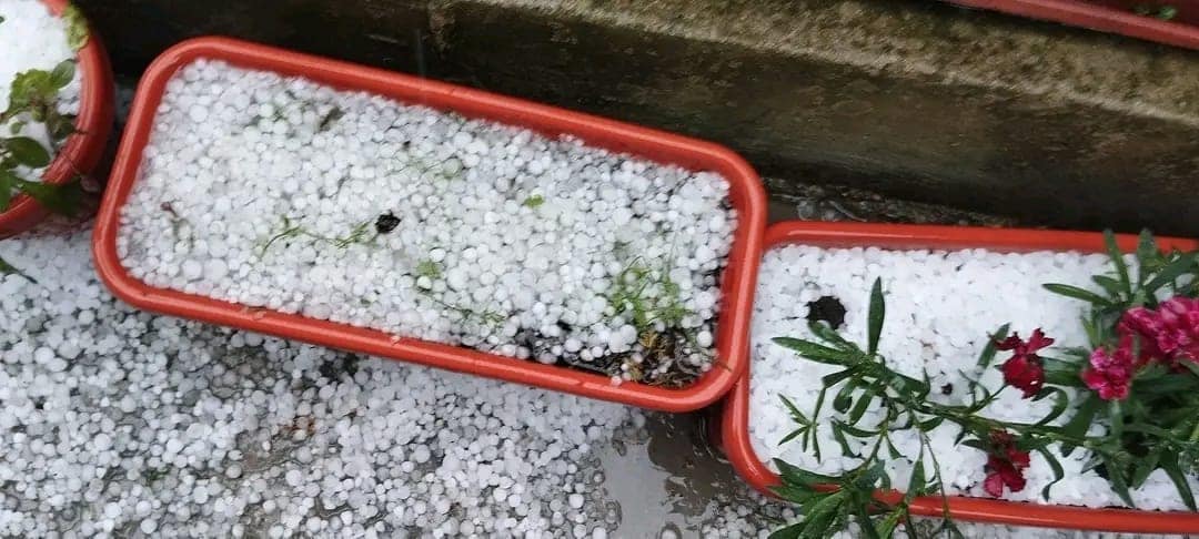 Vijelii și grindină în mai multe zone din țară, unde au fost alerte meteo. Cum va fi vremea în zilele următoare