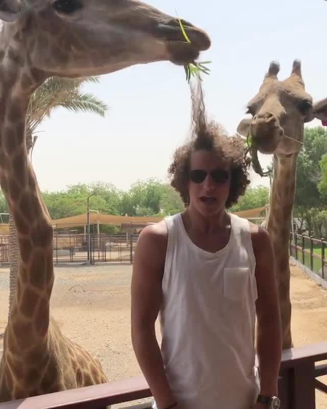 Rashed Belhasa, copilul putred de bogat, prieten al marilor sportivi, are o grădină zoologică în Dubai. Zoo pentru vedete