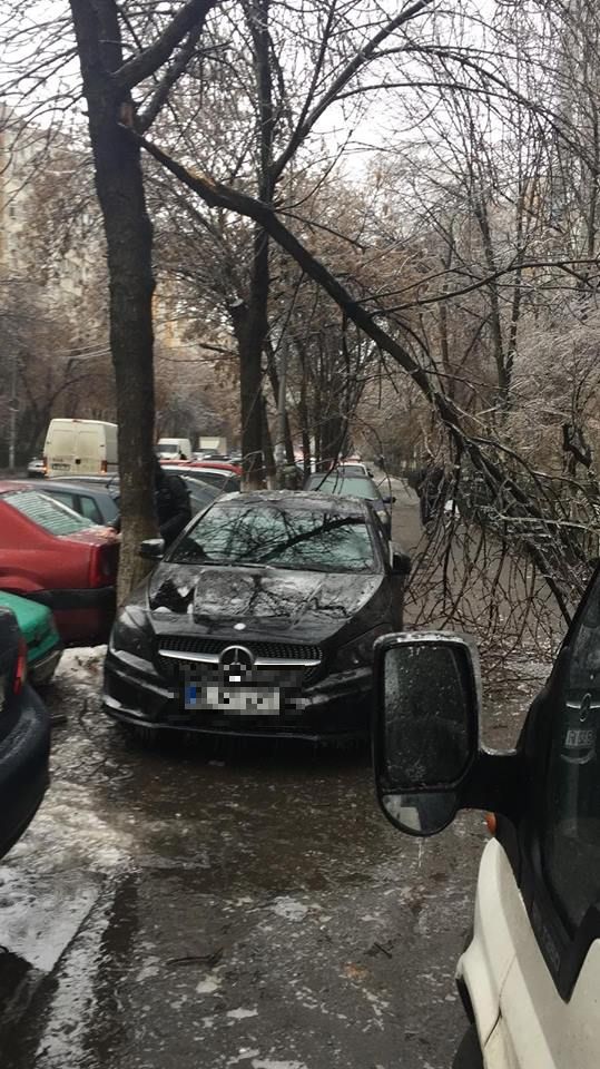 FOTO | Vremea face ravagii: Zeci de copaci doborâţi de vânt și gheață în Bucureşti și 49 de maşini avariate, în ultimele ore. Circulaţia pe anumite linii a tramvaielor şi a troleibuzelor, blocată