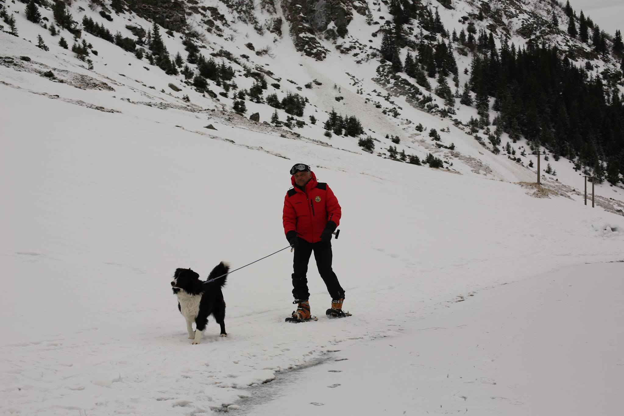 REPORTAJ/Povestea câinilor de avalanșă Helios și Dara sau încrederea de nezdruncinat dintre om şi animal: "Unde merg eu, merg şi ei"/ FOTO