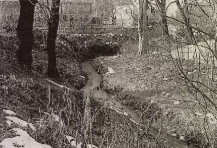 Baltás köz lett a móri patakpart a 15 éves Andrea kivégzése után