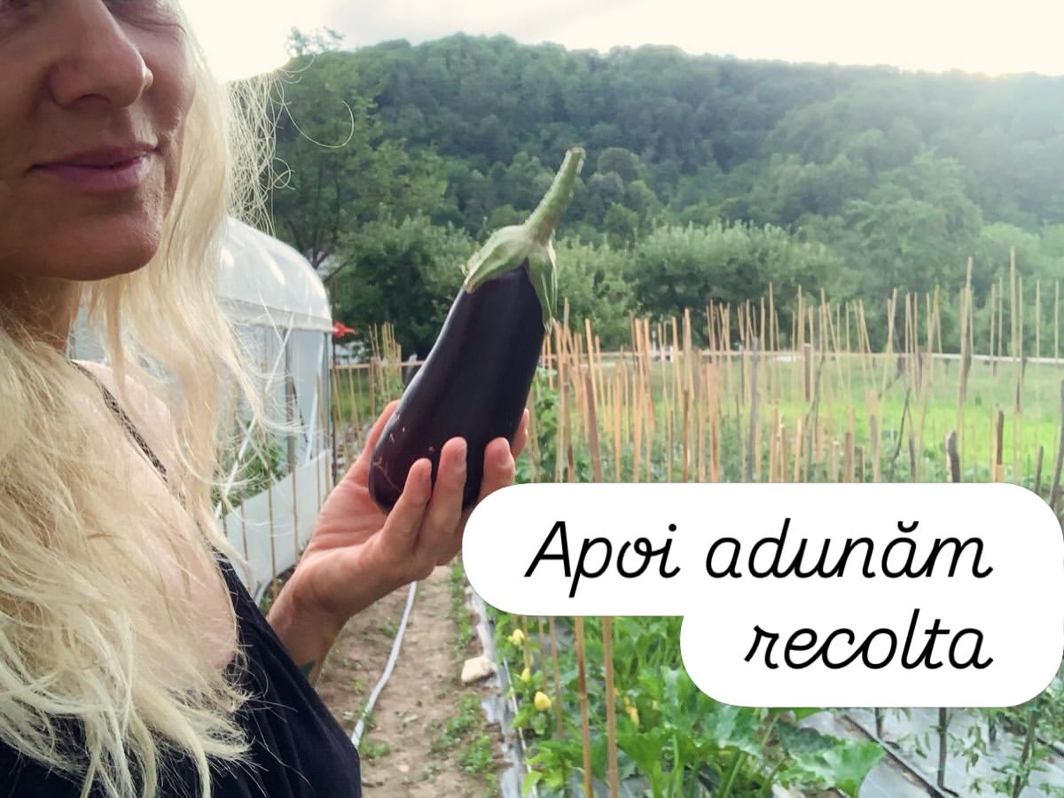 Imagini din gospodăria lui Dragoș Bucur și a Danei Nălbaru. De doi ani trăiesc la țară: „A fost cea mai bună decizie”