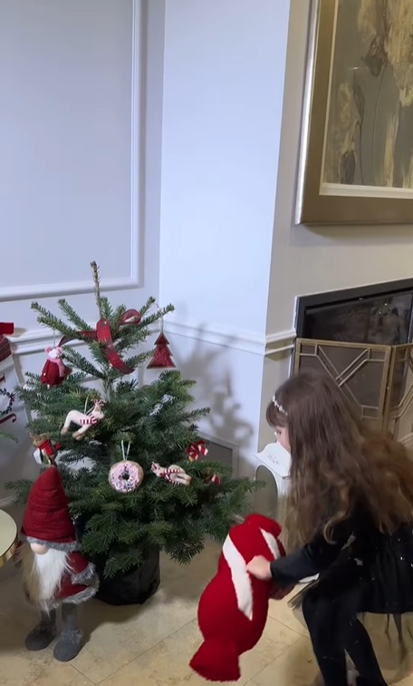 Imagini din casa Ancăi Serea, decorată de Crăciun. A împodobit doi brazi, unul e alb și excentric, iar altul e natural, în ghiveci