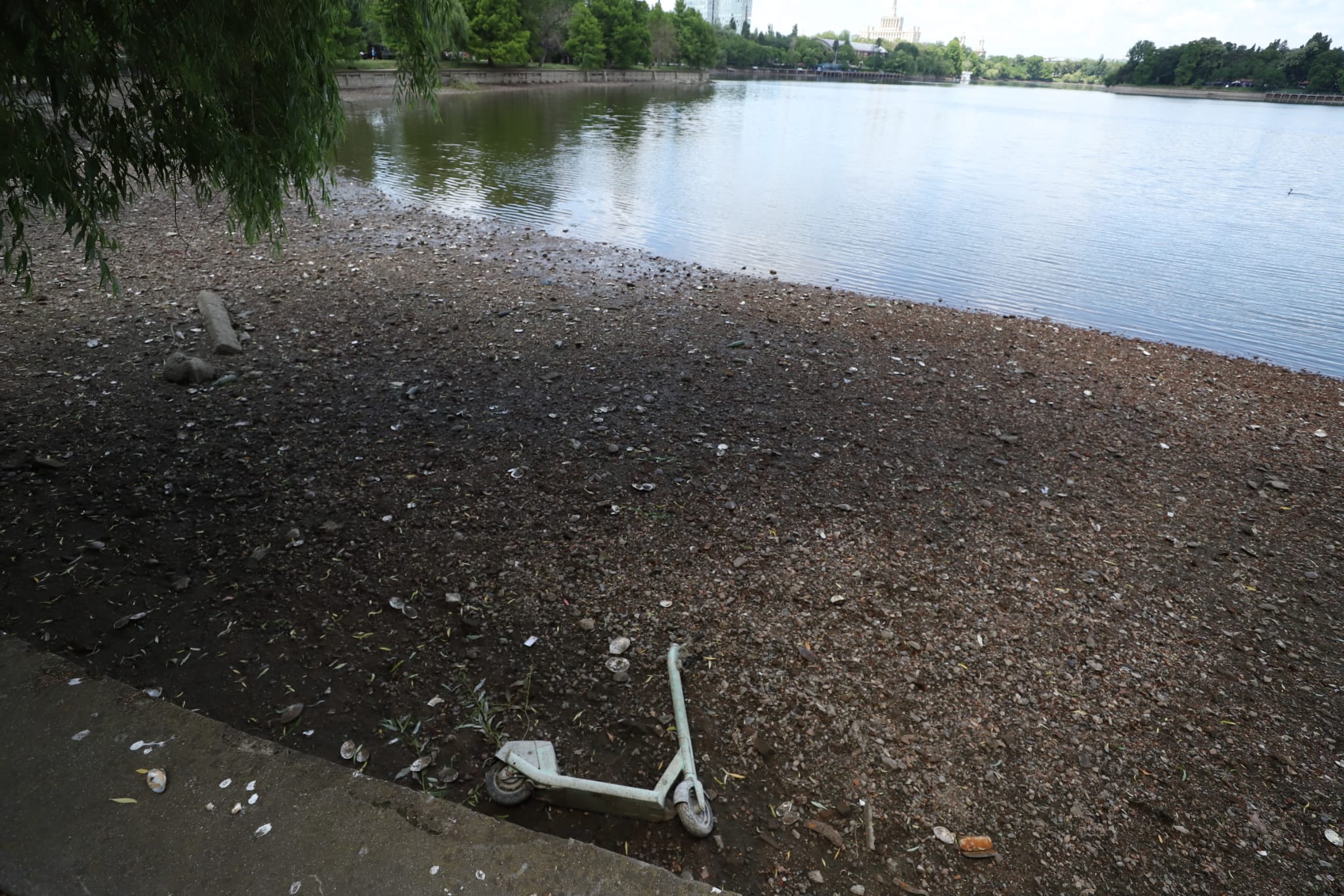 Cum arată lacul golit din parcul Herăstrău din București. Trotinete și scaune, printre obiectele găsite pe fundul lacului