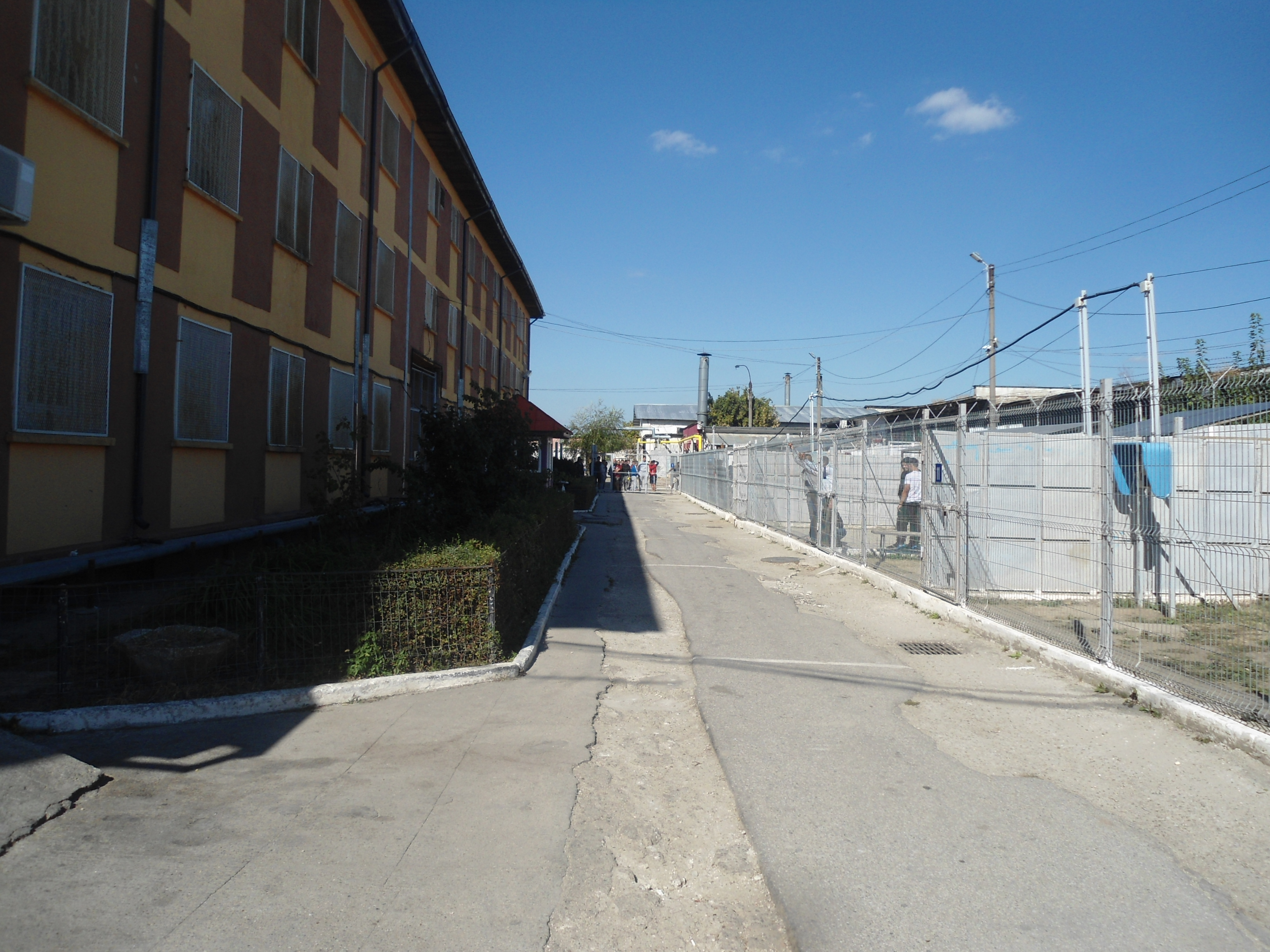 FOTO&VIDEO / Cum au votat deţinuţii de la Penitenciarul Jilava la referendumul pentru definirea familiei