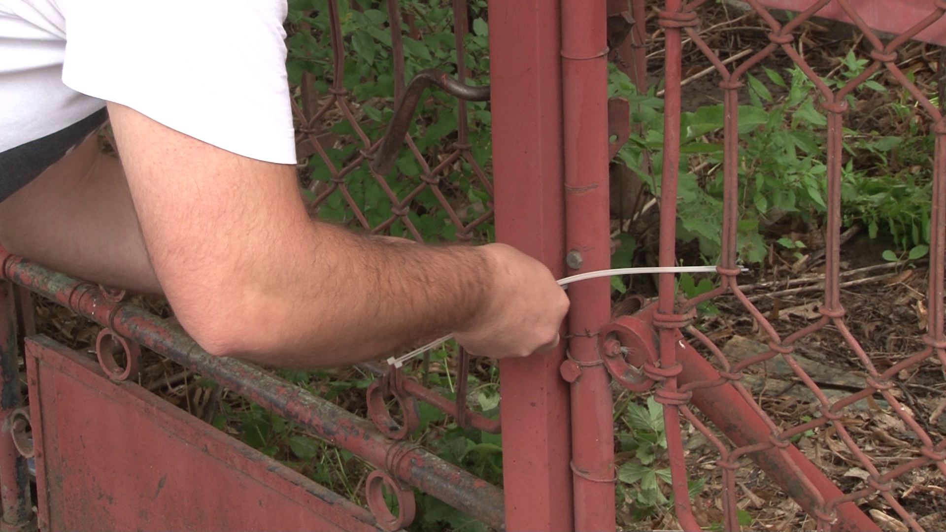 FOTO/ Un hoţ care a vrut să fure dintr-o casă din Ploiești a dat peste cadavrul unei femei moarte de un an. Lângă ea era cadavrul câinelui care o păzise