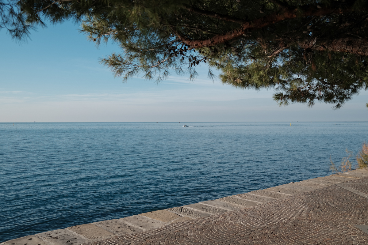Povestea Iuliei Negru, românca votată de italieni consilier local în Trieste: „România se schimbă. Dar eu nu m-aş întoarce niciodată, mi s-ar părea inutil”