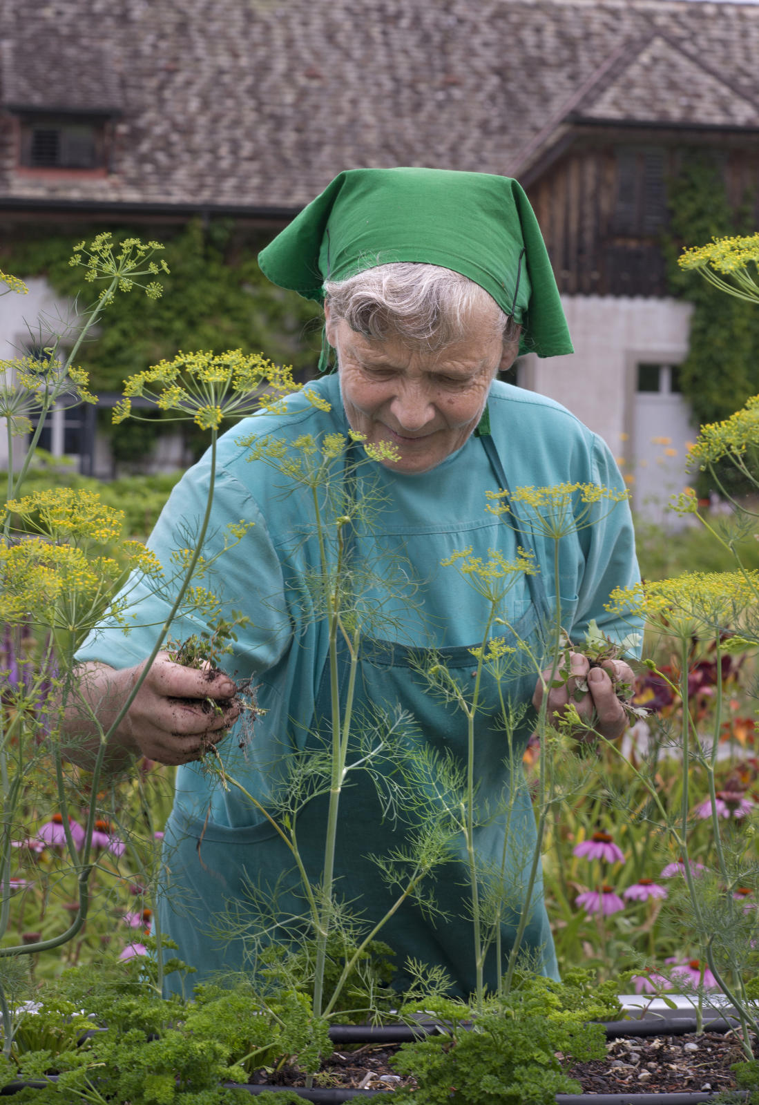 Schwester Ruth aus dem Kloster Wurmsbach in Rapperswil-Jona St. Gallen beim Jäten der Kräuterhochbeete