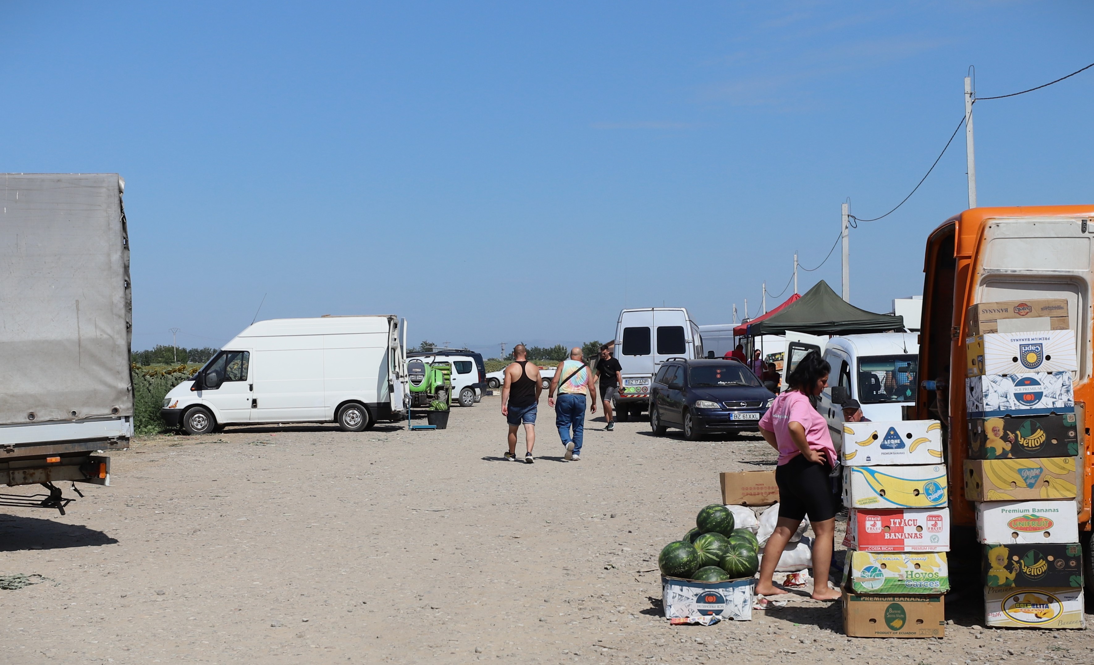 REPORTAJ. Furie în piața de legume din Glodeanu Sărat, Buzău. Lăsați la mâna samsarilor, producătorii locali își anunță abandonul: „Să pună Guvernul roșii!” 