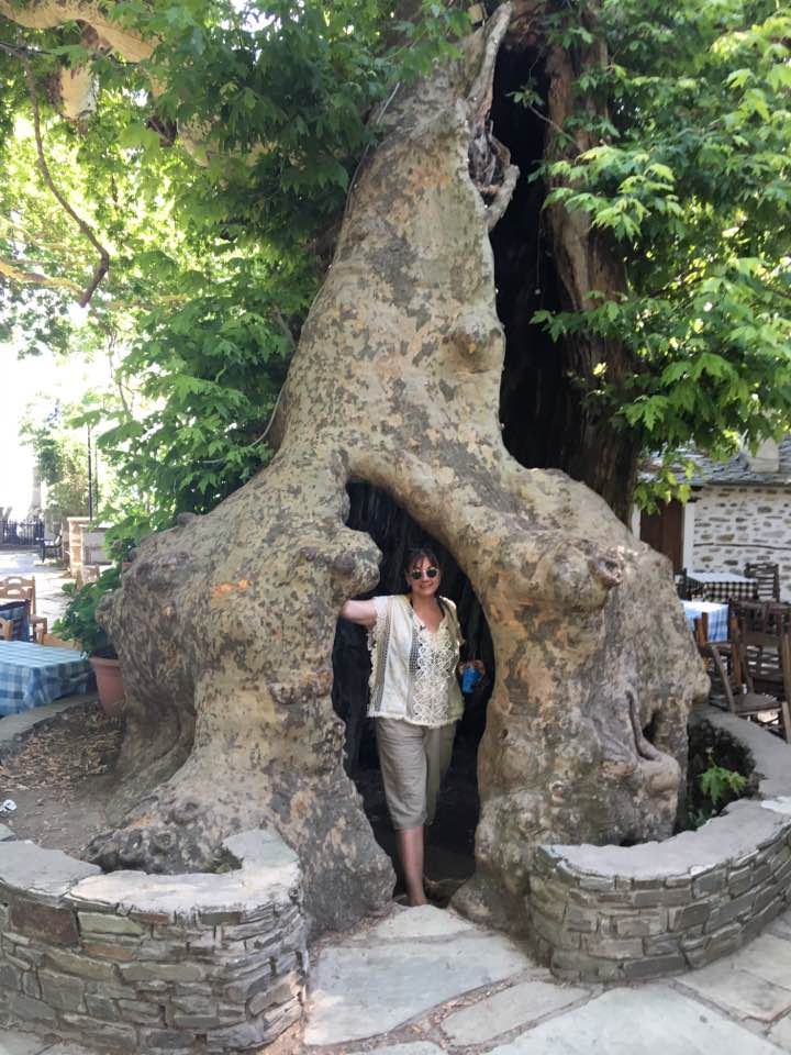 “Aventură cu 4 stele”. Margherita a muncit în cimitir, iar Cristina Țopescu a cărat în locul măgarului
