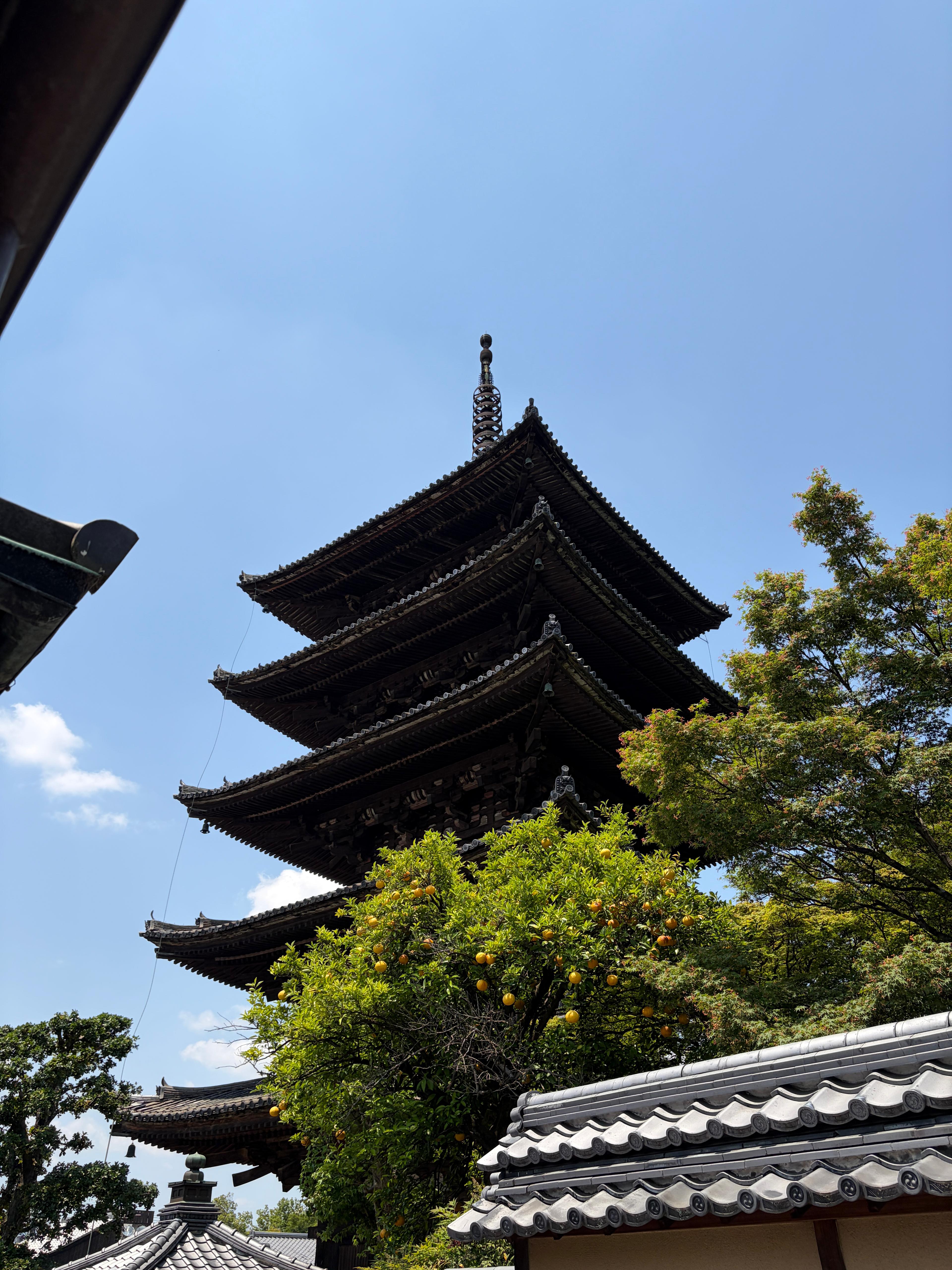 Străzi curate și suflete obosite: Japonia, văzută prin ochii unui psiholog român