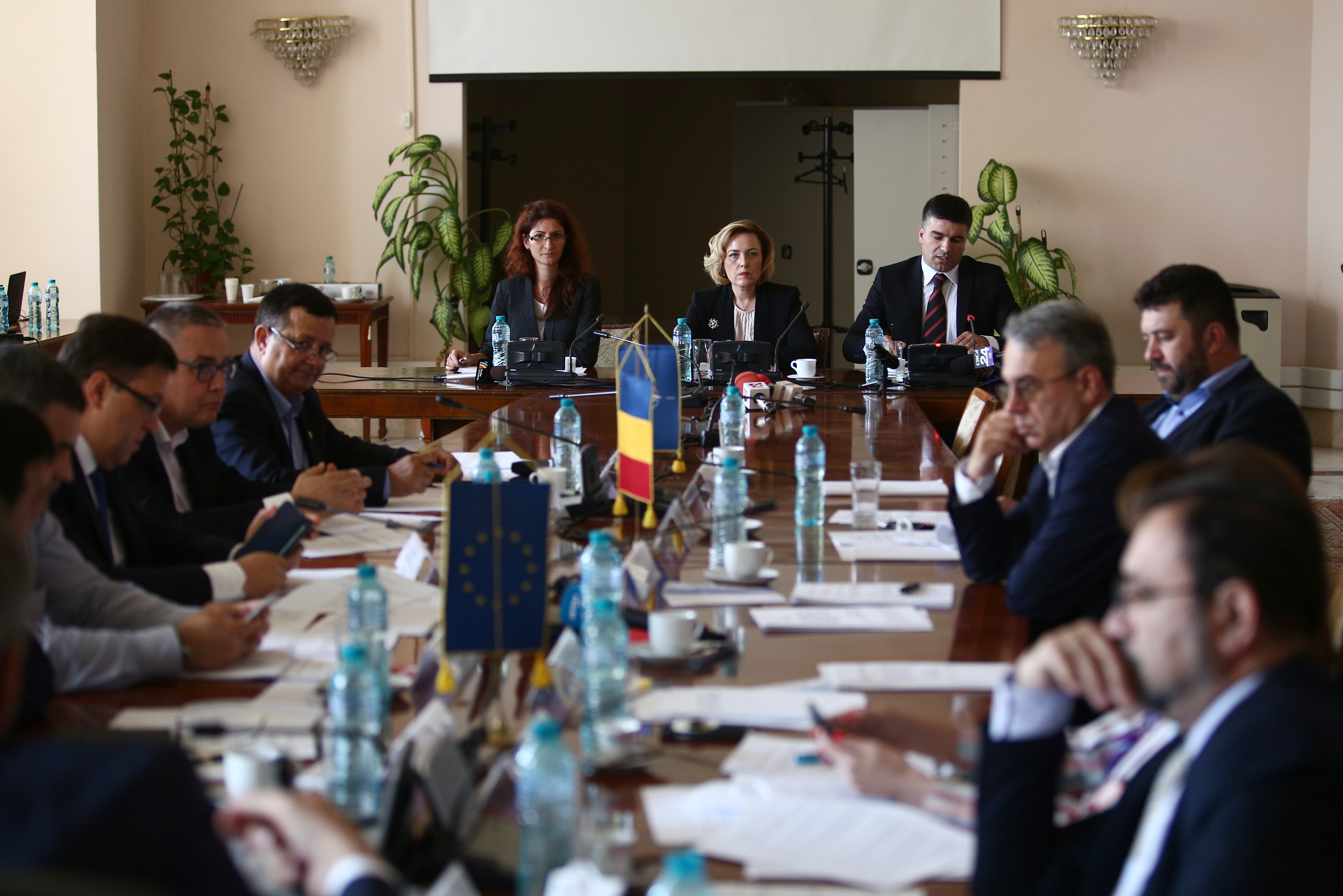 UPDATE. Carmen Dan, audiată în Comisia de apărare din Senat: ”Politica penală a ultimilor ani a fost aceea de a se sancționa cu oarecare blândețe violența”