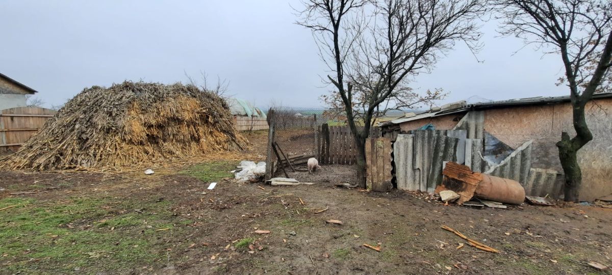 Sfârșit cumplit pentru o fetiță de 4 ani din Iași, după ce a fost stropită din greșeală, de sora ei, cu diluant aprins de flăcările din sobă