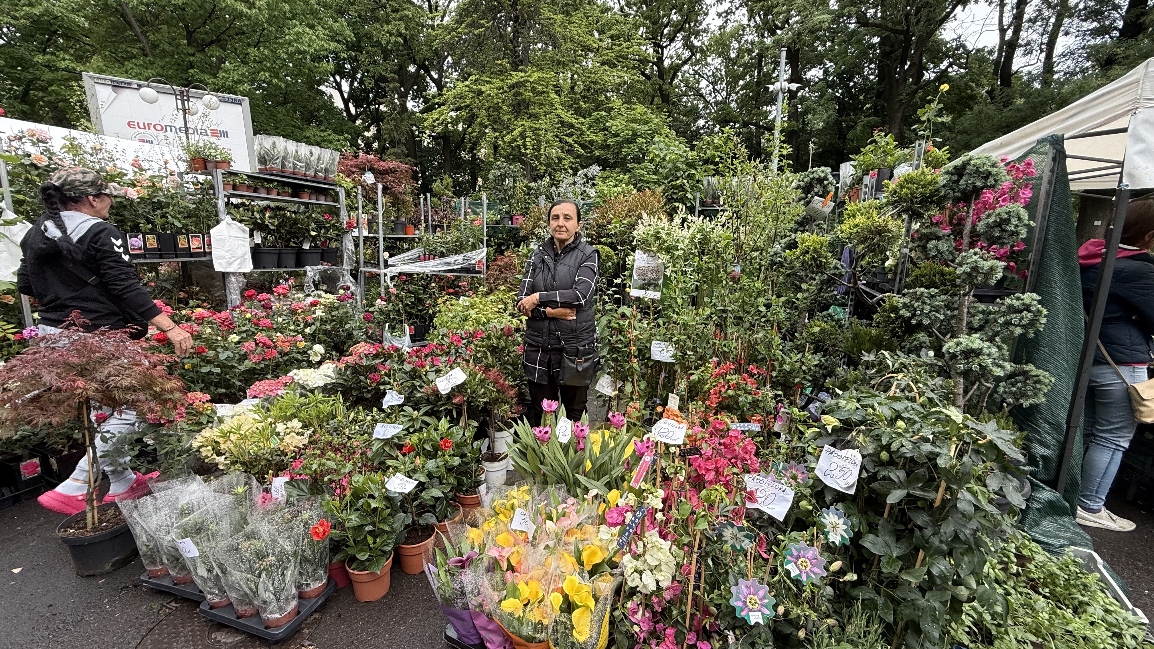 Explozie de flori și fructe exotice la Agronomie. Cât au plătit oamenii pentru „Mâna lui Buddha” „Banana Nordului” și smochinul mov