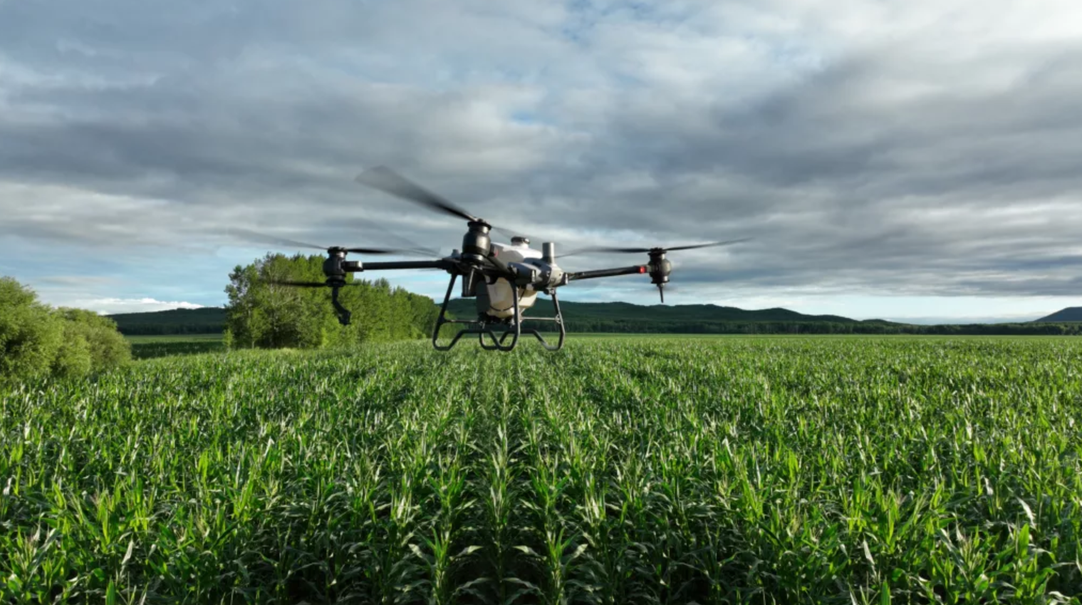 The project aimed to use AI and satellite data to monitor staple crops and deliver crop maps, forecasts, and drought-risk assessments.