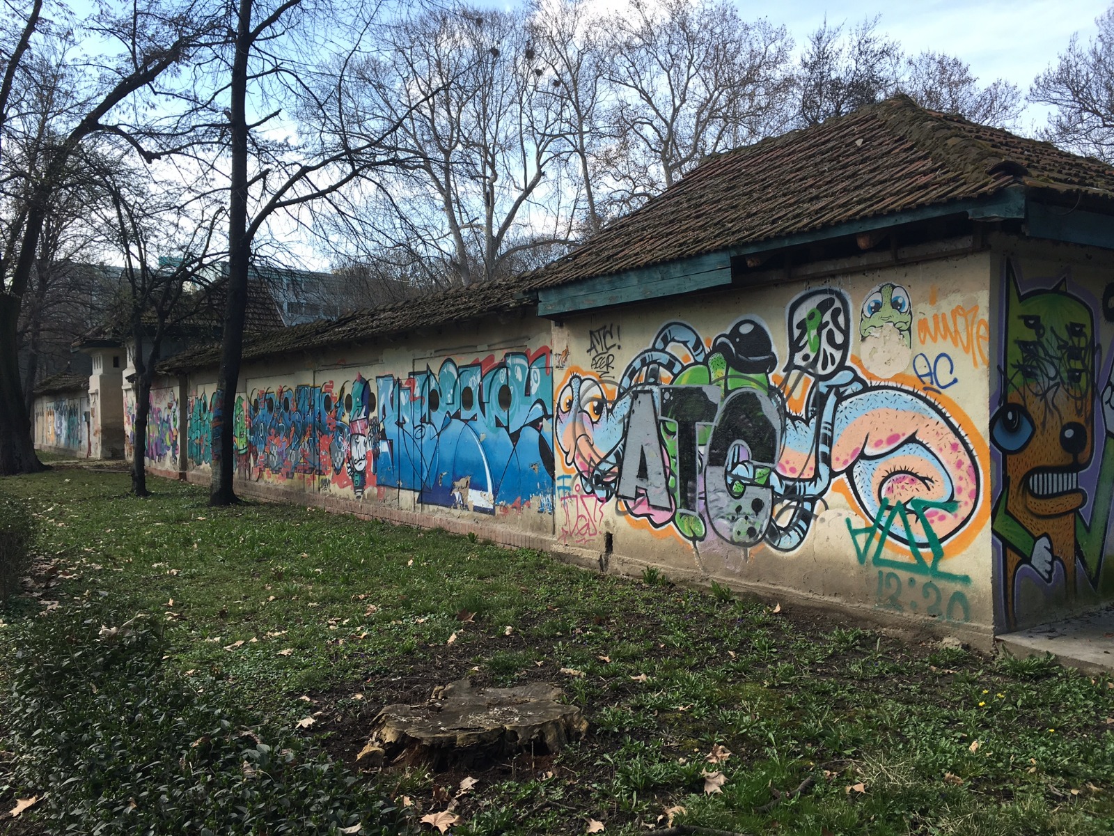 FOTO/ Cel mai important centru de natație al Timișoarei a murit din nepăsare. Ajunsă o ruină, fosta bază sportivă Uszoda este un focar de infecție
