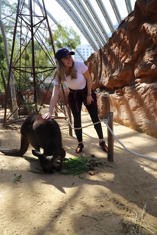 Simona Halep a vizitat grădina zoologică din Sydney. Liderul mondial debutează marți | GALERIE FOTO&VIDEO
