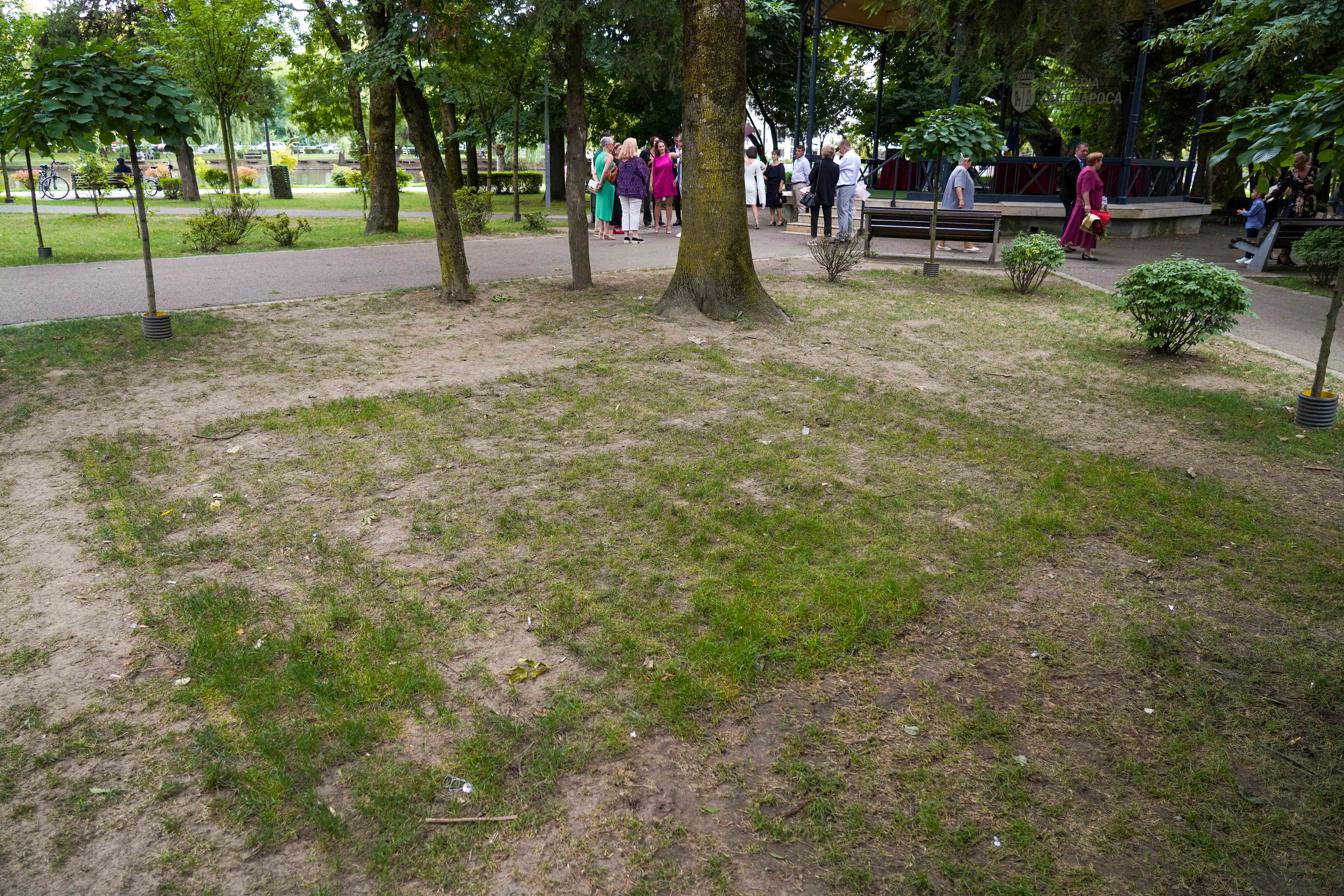 Napocalipsa, după Untold. Cum arată Parcul Mare la finalul festivalului de la Cluj