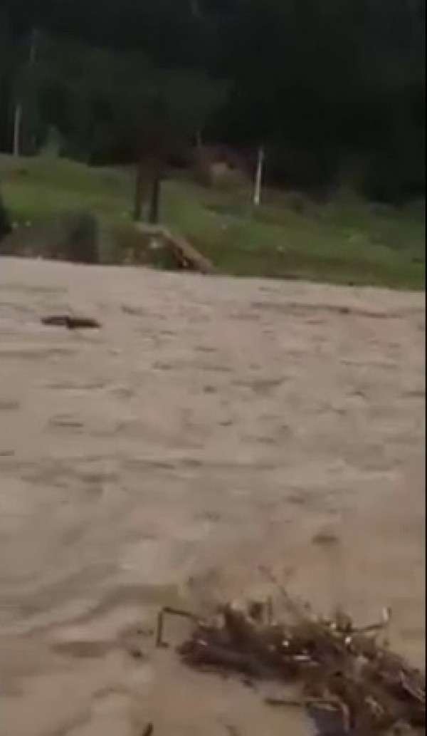 Un pod a fost distrus de viitură în zona Frasin-Moldovița, județul Suceava