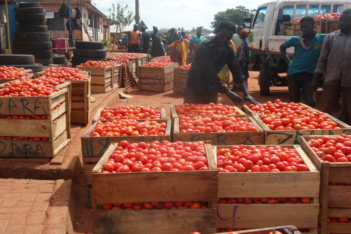 Ghanaian tomato traders express doubts about the practical implementation, especially regarding security escorts in high-risk areas.